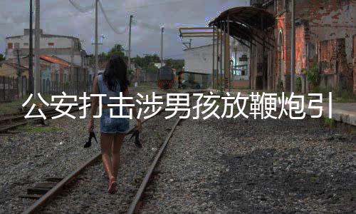 公安打击涉男孩放鞭炮引爆沼气谣言的新闻稿