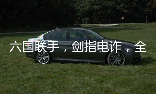 六国联手，剑指电诈，全力解救被困人员