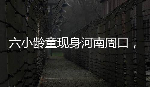 六小龄童现身河南周口，一次经典文化之旅的难忘体验