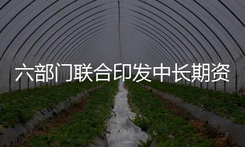 六部门联合印发中长期资金入市方案，资本市场迎新机遇