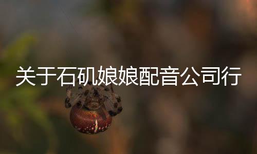 关于石矶娘娘配音公司行政管理人员的探讨