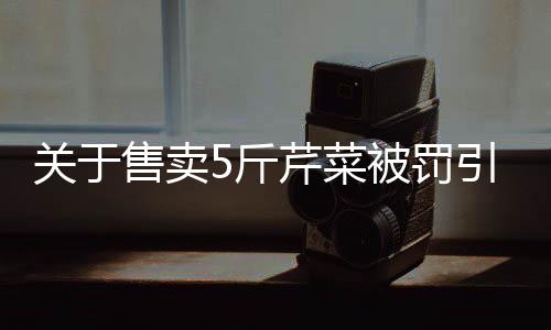 关于售卖5斤芹菜被罚引发关注——代表委员提出热议与建议
