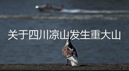 关于四川凉山发生重大山体滑坡不实信息的澄清