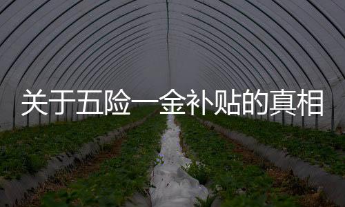关于五险一金补贴的真相揭秘——警惕虚假宣传