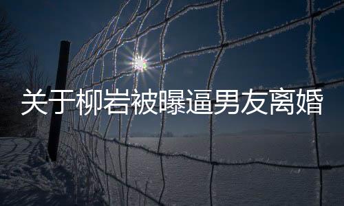 关于柳岩被曝逼男友离婚的事件报道