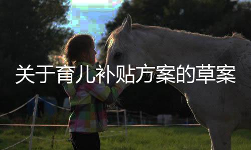 关于育儿补贴方案的草案拟定与解析