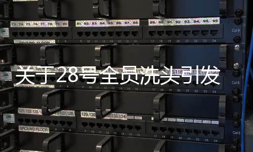 关于28号全员洗头引发的欢笑与思考