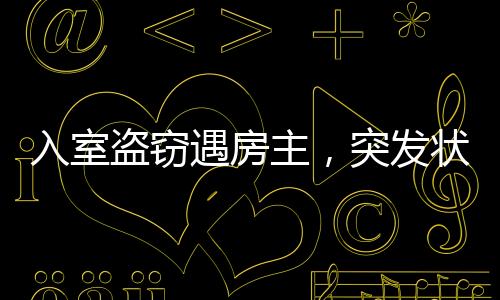 入室盗窃遇房主，突发状况如何化解？