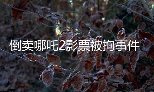 倒卖哪吒2影票被拘事件曝光深度剖析非法票务市场的内幕