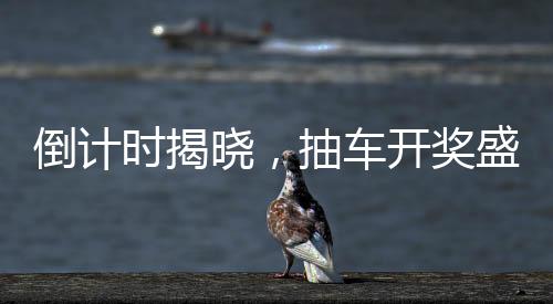 倒计时揭晓，抽车开奖盛宴即将开启！