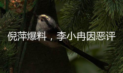 倪萍爆料，李小冉因恶评愤然退出繁花群