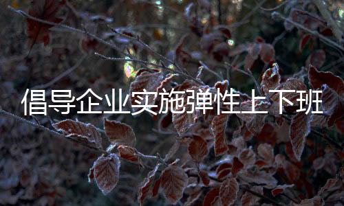 倡导企业实施弹性上下班制度，提升员工工作与生活的平衡性