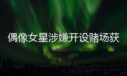 偶像女星涉嫌开设赌场获刑十个月
