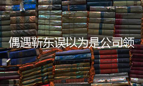 偶遇靳东误以为是公司领导，揭开背后的故事