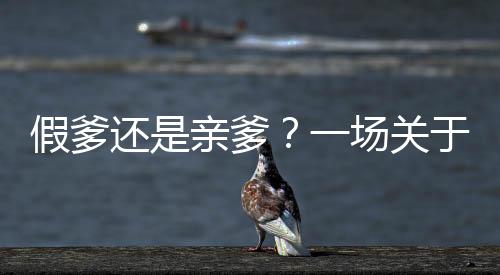 假爹还是亲爹？一场关于认错父亲后的深刻道歉之旅