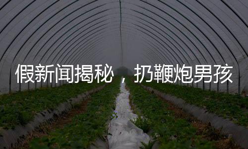 假新闻揭秘，扔鞭炮男孩家属追责九部门事件真相调查
