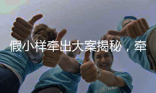 假小样牵出大案揭秘，牵出惊天的三千三百万商业欺诈案揭秘！一段隐匿复杂案件的小故事揭晓错综复杂的网络商业陷阱，让人心惊胆颤。本文将为您详细剖析这起案件的始末，揭示其背后隐藏的真相。接下来，让我们跟随这篇文章的脉络，一探究竟。
