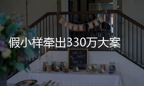 假小样牵出330万大案，揭示犯罪背后的惊人真相