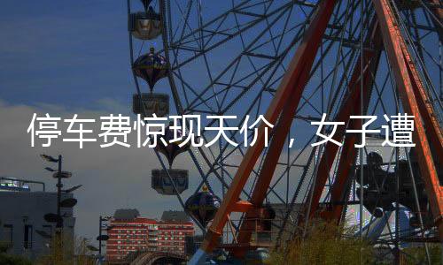停车费惊现天价，女子遭遇天价停车费事件揭秘