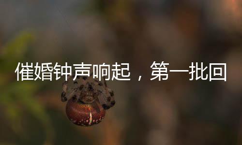 催婚钟声响起，第一批回家过年的人故事揭晓