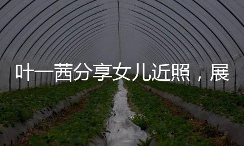 叶一茜分享女儿近照，展现家庭温馨与成长轨迹