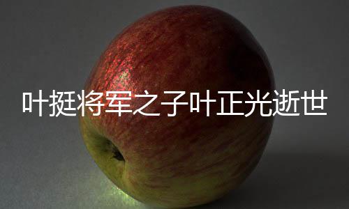叶挺将军之子叶正光逝世，各界深切缅怀
