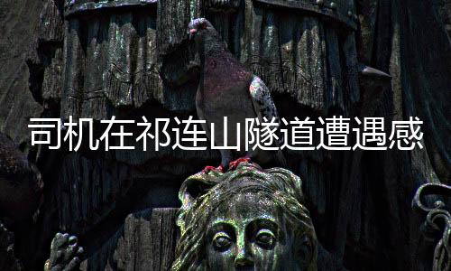司机在祁连山隧道遭遇感应卷帘门，一次特殊的驾驶经历