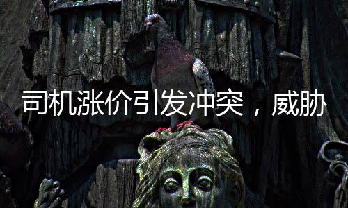 司机涨价引发冲突，威胁乘客称捅死你终被法办