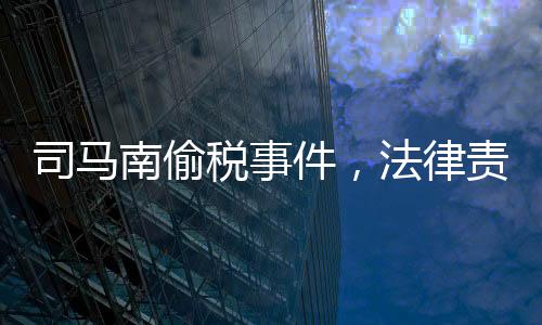 司马南偷税事件，法律责任与个人担当