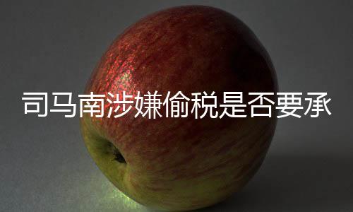 司马南涉嫌偷税是否要承担刑事责任？深入解读相关议题