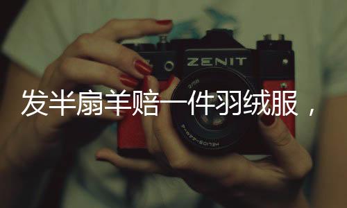 发半扇羊赔一件羽绒服，背后的故事与争议