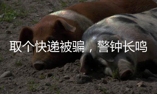 取个快递被骗，警钟长鸣背后的金融陷阱与信息欺诈之思辨