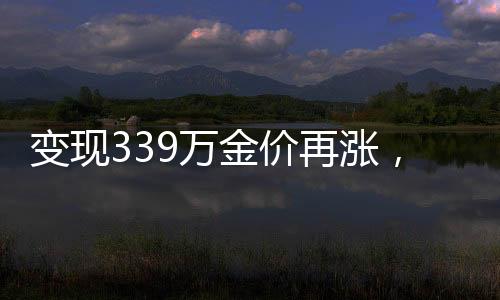 变现339万金价再涨，市场走势分析与未来展望