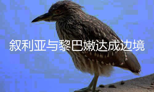 叙利亚与黎巴嫩达成边境停火协议，两国迈向和平的新篇章
