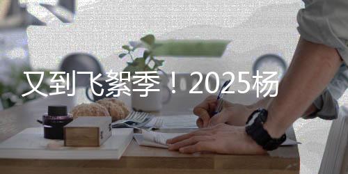 又到飞絮季！2025杨柳絮盛飞预警地图来了 六字口诀全方位防护
