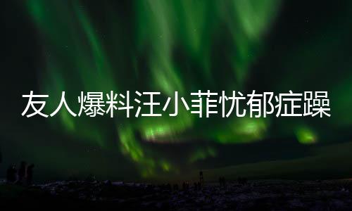 友人爆料汪小菲忧郁症躁郁症复发，引发社会关注