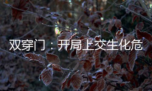 双穿门：开局上交生化危机副本