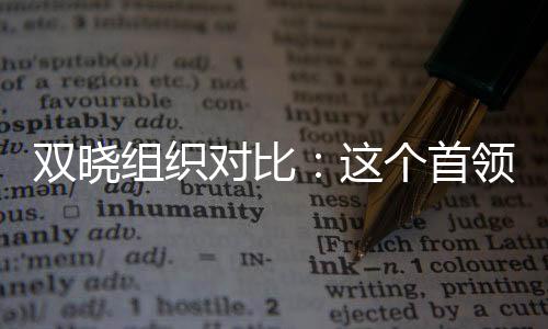 双晓组织对比：这个首领真要革命