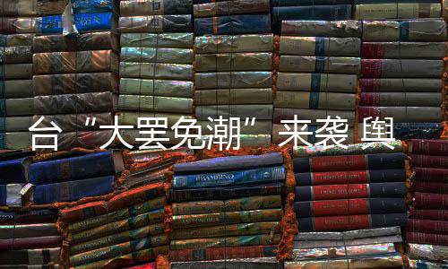 台“大罢免潮”来袭 舆论指民进党“当家闹事”