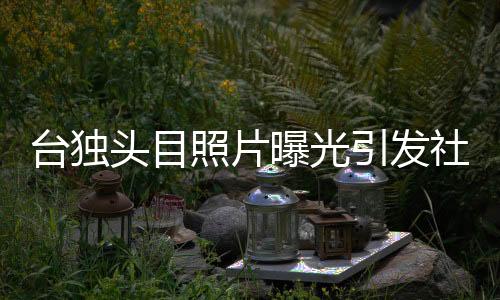 台独头目照片曝光引发社会关注
