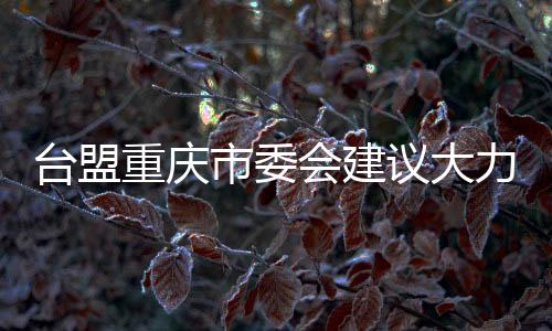 台盟重庆市委会建议大力开展涉台教育进校园活动
