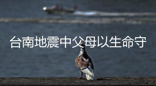 台南地震中父母以生命守护孩子的英勇之举