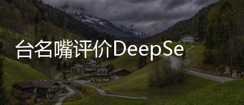 台名嘴评价DeepSeek，夸张得不得了