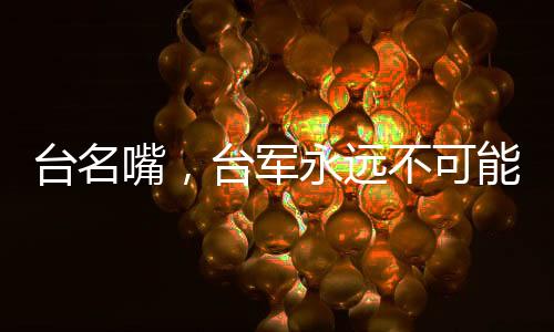 台名嘴，台军永远不可能打赢解放军
