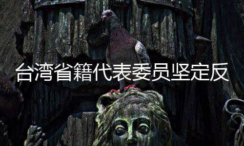 台湾省籍代表委员坚定反分裂反干涉立场