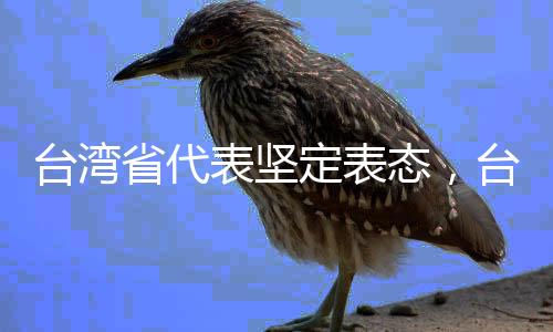 台湾省代表坚定表态，台湾的最大靠山就是祖国