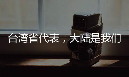 台湾省代表，大陆是我们的共同家园