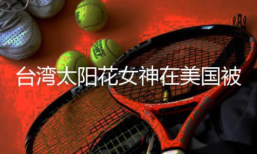 台湾太阳花女神在美国被捕，涉嫌政治活动与网络安全犯罪活动相关事件深度解读