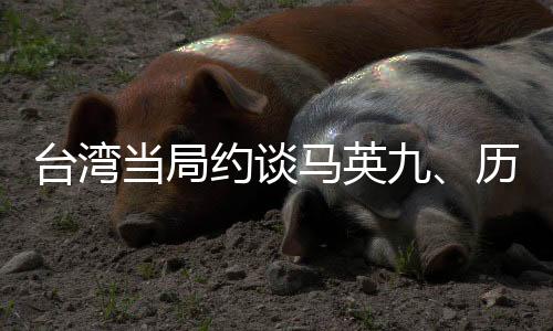 台湾当局约谈马英九、历史与未来的交汇点