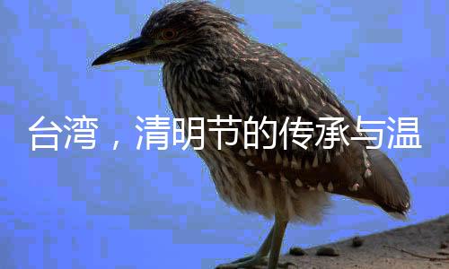 台湾，清明节的传承与温情